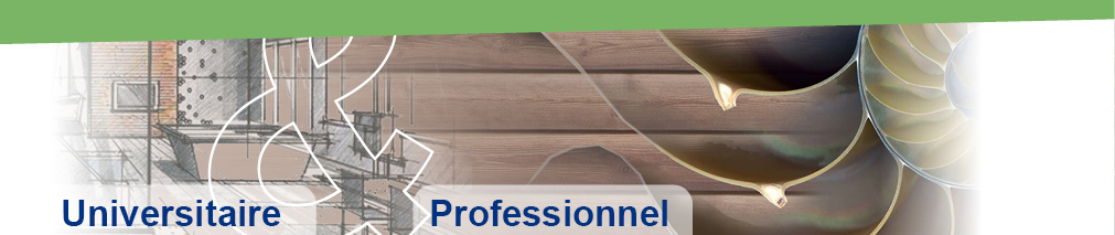 Que faire apr�s un BTS Construction bois, design espace, AEA, menuiserie agencement, architecture int�rieure? Licence Professionnelle Charg�(e) d'affaires agencement menuiserie construction bois